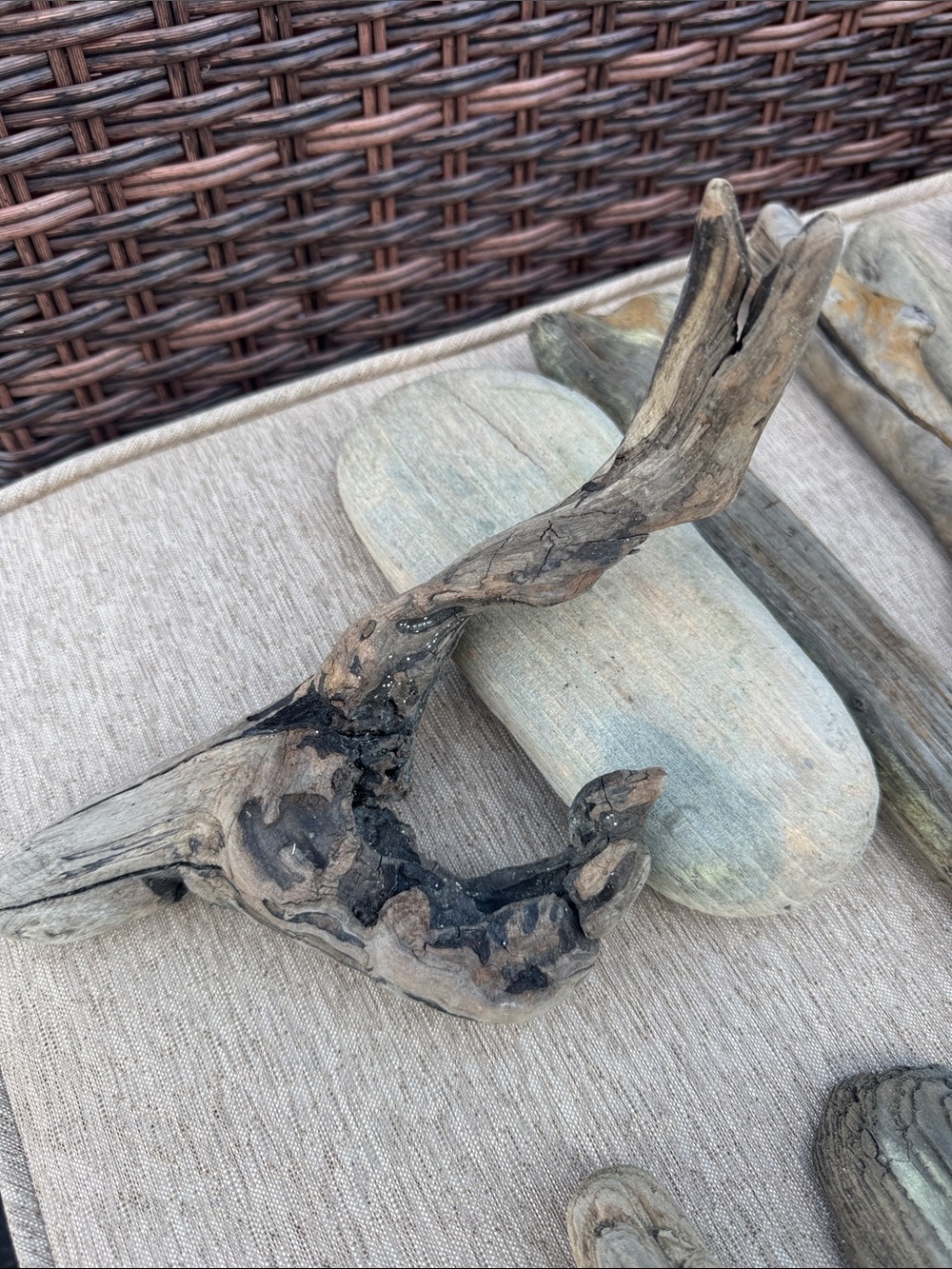 20 Pacific Beach Natural Driftwood Collection - Assorted Beach Wood Pieces - Picture 9 of 10